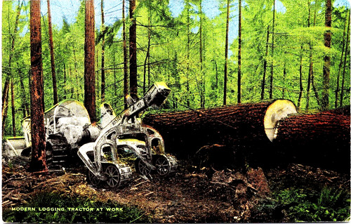 Postcard modern logging - postcard,